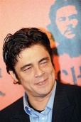 benicio che